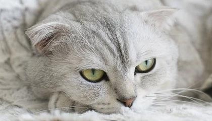 开云网页版登录入口-年轻车坛新星：梦想之路的辛酸与坚持