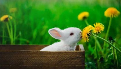 开云网页版登录入口-年轻车坛新星：梦想之路的辛酸与坚持