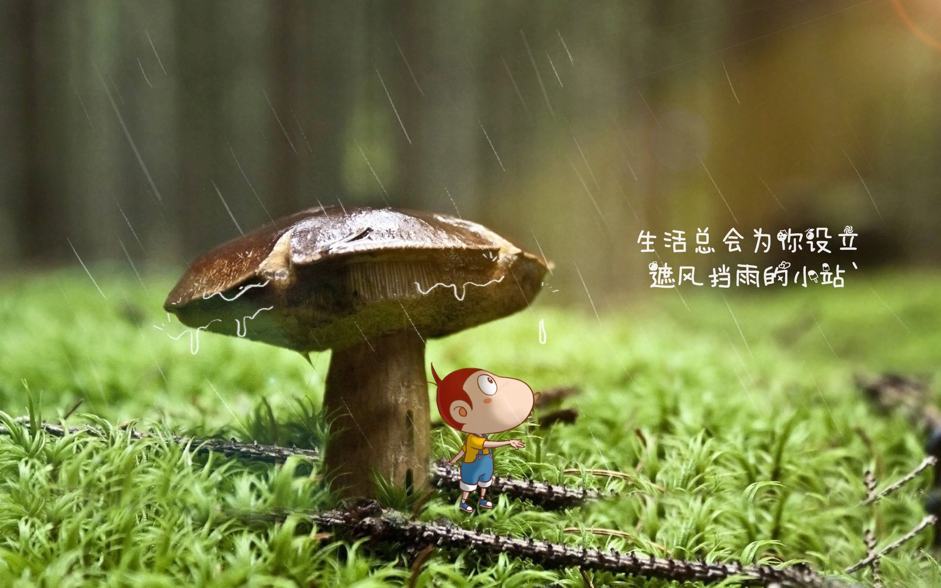 中小学体育课程整合创新路径探讨，中小学体育课程教学改革