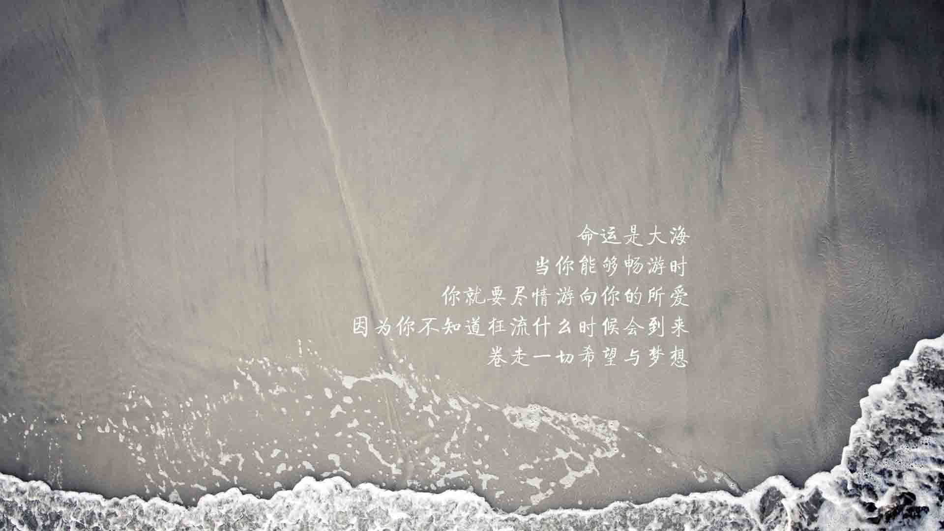 戴维·帕特森的球场领导力和战术灵活性，为袋鼠队赢得关键比赛