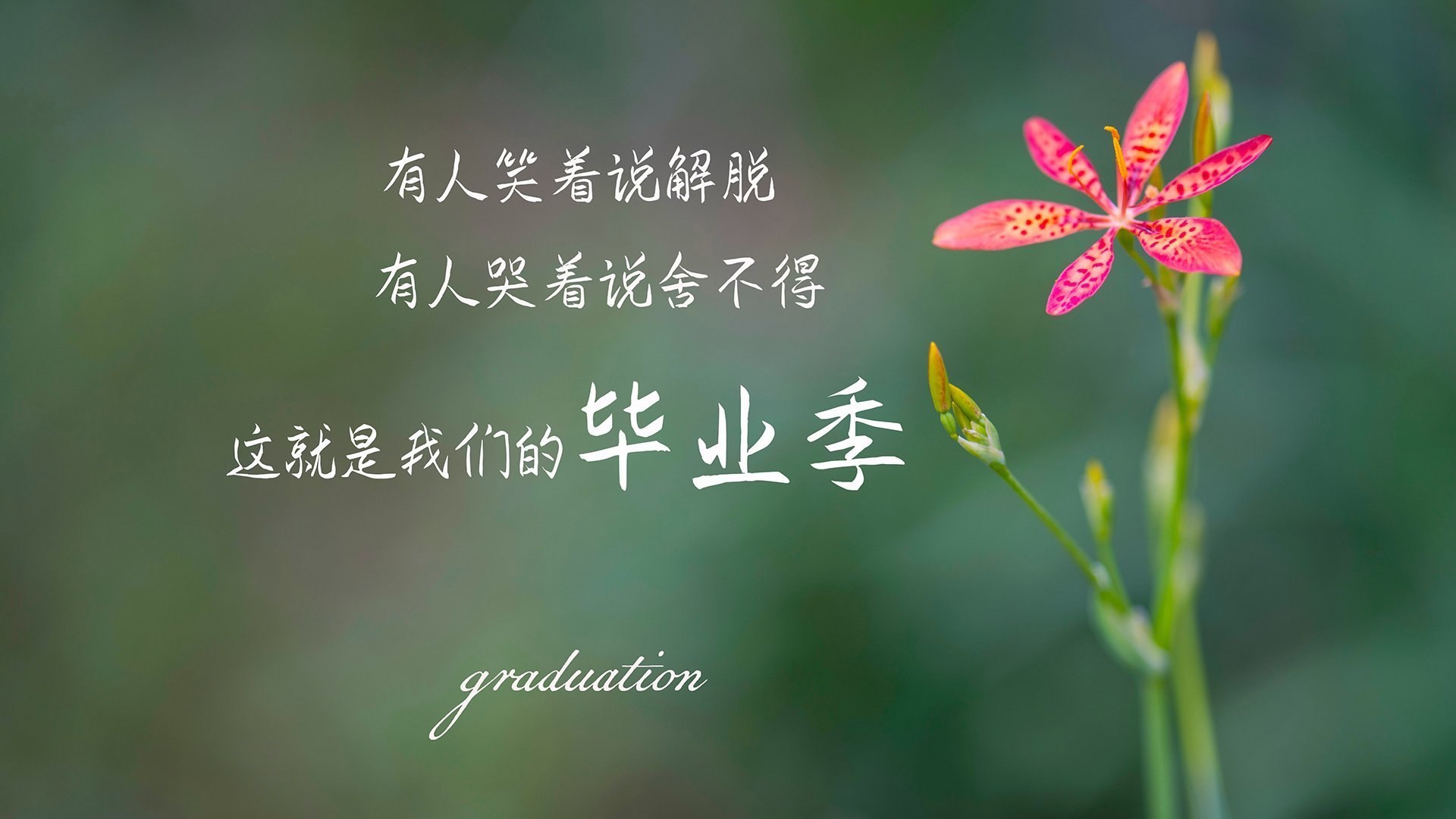 荷兰队继续强势,晋级形势一片大好